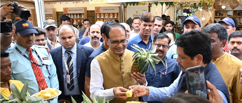 मेघालय अनानास महोत्सव का शुभारंभ, कृषि स्टार्टअप में भागादारी का आह्वान