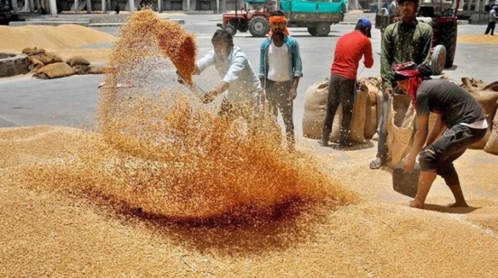 गेहूं निर्यात पर बड़ी खबर: भारत सरकार ने दी 25 लाख टन निर्यात की मंजूरी